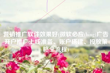 营销推广软件效果好(微软必应(bing)广告开户推广上线准备、账户搭建、投放策略全流程)