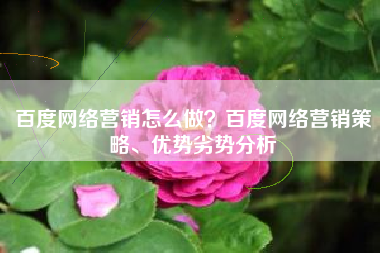 百度网络营销怎么做？百度网络营销策略、优势劣势分析