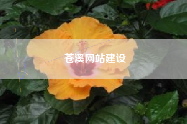 苍溪网站建设