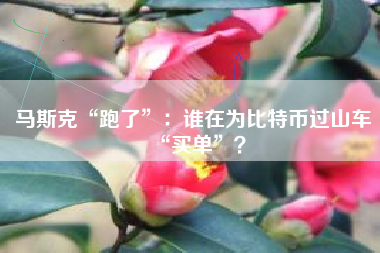 马斯克“跑了”：谁在为比特币过山车“买单”？