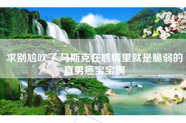 求别尬吹了,马斯克在感情里就是脆弱的直男癌宝宝啊
