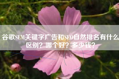 谷歌SEM关键字广告和SEO自然排名有什么区别？哪个好？多少钱？