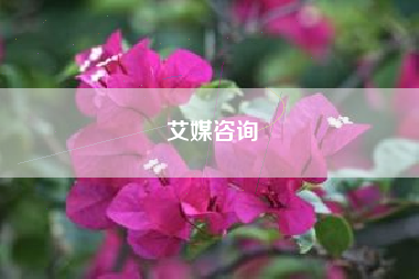 艾媒咨询