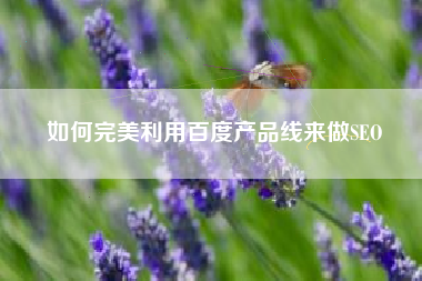 如何完美利用百度产品线来做SEO