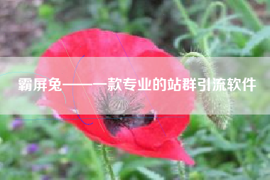 霸屏兔——一款专业的站群引流软件