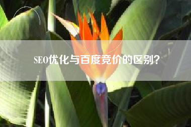 SEO优化与百度竞价的区别？