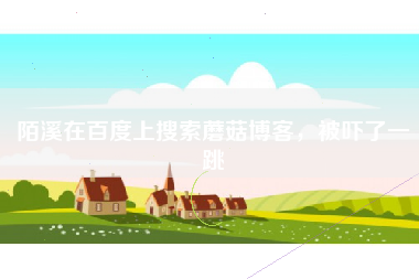 陌溪在百度上搜索蘑菇博客，被吓了一跳