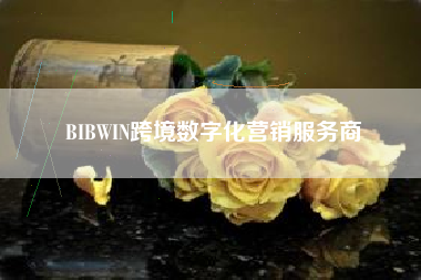 BIBWIN跨境数字化营销服务商 BIBWIN跨境数字化营销服务商