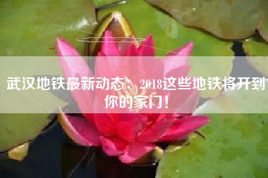 武汉地铁最新动态：2018这些地铁将开到你的家门！