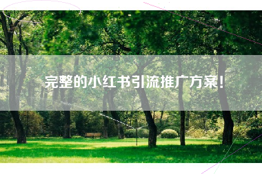 完整的小红书引流推广方案！