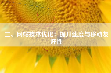 三、网站技术优化：提升速度与移动友好性