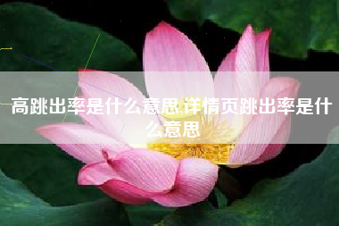 高跳出率是什么意思,详情页跳出率是什么意思