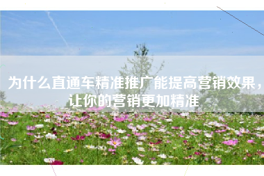为什么直通车精准推广能提高营销效果，让你的营销更加精准