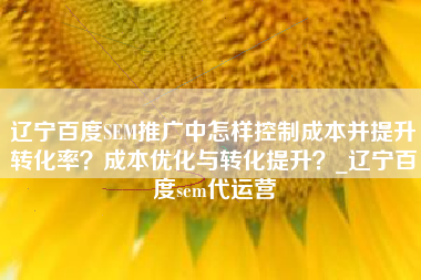 辽宁百度SEM推广中怎样控制成本并提升转化率？成本优化与转化提升？_辽宁百度sem代运营