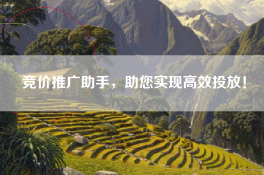 竞价推广助手，助您实现高效投放！