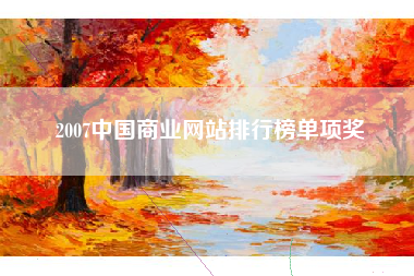 2007中国商业网站排行榜单项奖