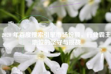 2020 年百度搜索引擎市场份额，行业霸主地位的坚守与挑战