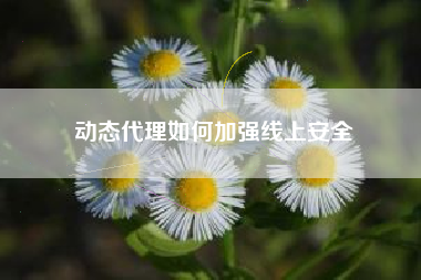 动态代理如何加强线上安全