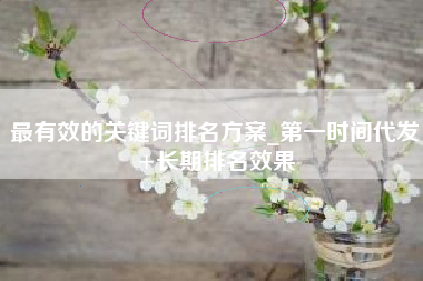 最有效的关键词排名方案_第一时间代发+长期排名效果