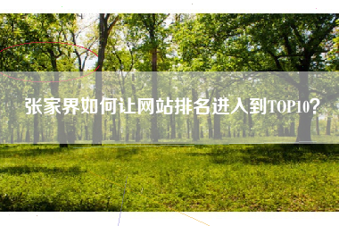 张家界如何让网站排名进入到TOP10？