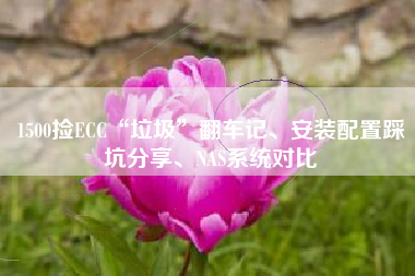 1500捡ECC“垃圾”翻车记、安装配置踩坑分享、NAS系统对比