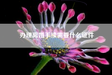 办理离婚手续需要什么证件