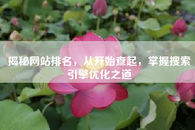 揭秘网站排名，从开始查起，掌握搜索引擎优化之道
