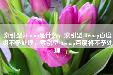 索引型sitemap是什么，索引型sitemap百度将不予处理，索引型sitemap百度将不予处理