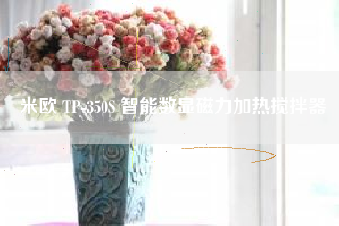 米欧 TP-350S 智能数显磁力加热搅拌器