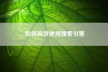如何高效使用搜索引擎