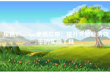 座机WhatsApp使用指南：提升外贸业务效率的实用工具