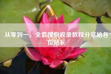 从零到一，全套搜狗收录教程分享给各位站长