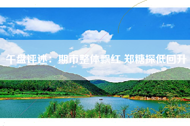 午盘评述：期市整体飘红 郑糖探低回升