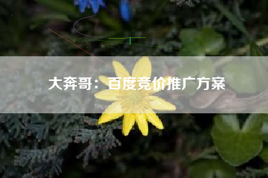 大奔哥：百度竞价推广方案