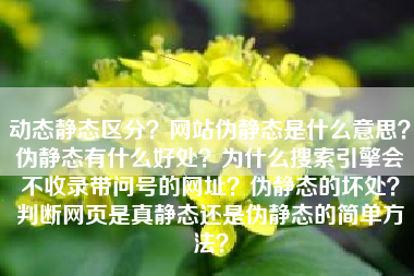 动态静态区分？网站伪静态是什么意思？伪静态有什么好处？为什么搜索引擎会不收录带问号的网址？伪静态的坏处？判断网页是真静态还是伪静态的简单方法？