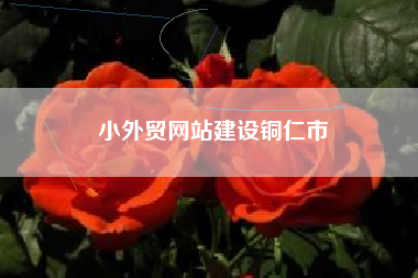 小外贸网站建设铜仁市