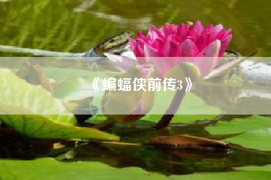 《蝙蝠侠前传3》