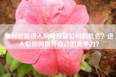 如何把握进入风险投资公司的机会？进入后如何提升自己的竞争力？
