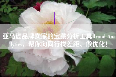 亚马逊品牌卖家的宝藏分析工具Brand Analytics，帮你向同行找差距、做优化！