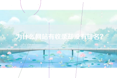 为什么网站有收录却没有排名？
