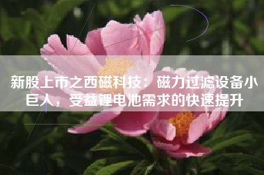 新股上市之西磁科技：磁力过滤设备小巨人，受益锂电池需求的快速提升