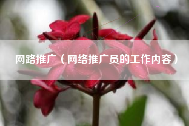 网路推广（网络推广员的工作内容）