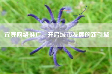 宜宾网络推广，开启城市发展的新引擎