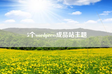 5个wordpress成品站主题