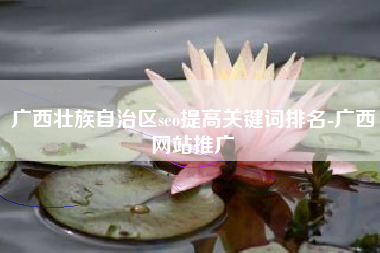 广西壮族自治区seo提高关键词排名-广西网站推广