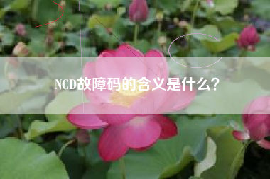 NCD故障码的含义是什么？