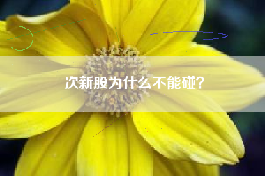 次新股为什么不能碰？