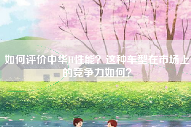 如何评价中华H性能？这种车型在市场上的竞争力如何？