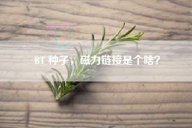 BT 种子，磁力链接是个啥？