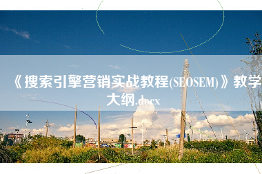 《搜索引擎营销实战教程(SEOSEM)》教学大纲.docx 《搜索引擎营销实战教程(SEOSEM)》教学大纲.docx